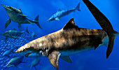 Cretoxyrhina prehistoric sharks