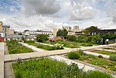 Roof garden