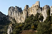 Peyrepertuse castle,France