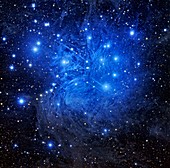 Pleiades star cluster,optical image