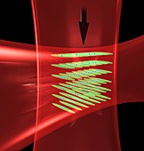 Laser beams in atomic clock,artwork