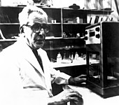 Isaac Berenblum,Israeli biochemist