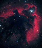 Cometary Globule LDN 1622 in Orion