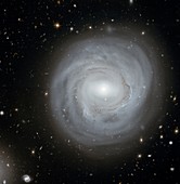Spiral galaxy NGC 4921,HST image