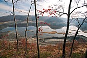 Coal sludge dam,West Virginia,USA