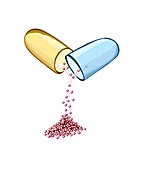 Opened drug capsule,artwork