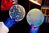 Antibiotic susceptibility research