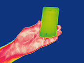 Thermogram