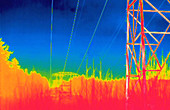 Thermogram