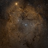 Emission nebula IC 1396,optical image