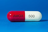 Amoxicillin antibiotic drug