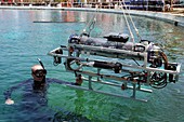 Underwater autonomous robot
