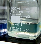 Ionic liquid research