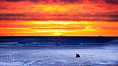 Sunset over Beaufort Sea Alaska