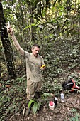 Rainforest research,French Guiana