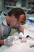 Microfluidic probes,IBM research