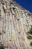 Devils Tower,Wyoming,USA