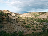 Olduvai Gorge,Tanzania