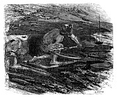 Coal miner,19th century