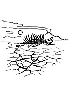 Permian extinction,illustration