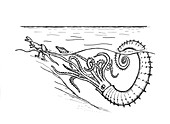 Ammonite attacking a dinosaur,artwork