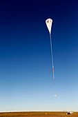 Balloon Rapid Response for ISON launch