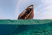 The wreck of Skipjack II in the Maldives