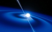 Neutron star and white dwarf system