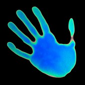 Hand print on thermochromic paper