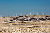 Wind farm,USA