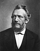Emil DuBois-Reymond,German physician