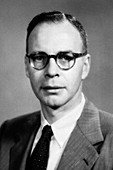 Walter H. Sheldon,US pathologist