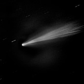 Comet ISON,composite image