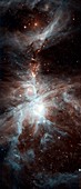Orion nebula,space telescope image