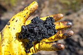 Hand full of tar sand