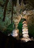Limestone formations in Carlsbad Caverns