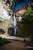 Lower Calf Creek Falls