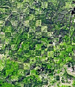 Logging pattern,USA