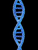 DNA molecule,illustration