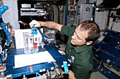 Astronaut conducting experiment on ISS