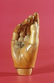 Wooden prosthetic hand,circa 1920