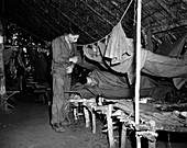 US Army malaria treatment,1943