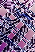 Microchip,light micrograph