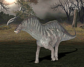 Amargasaurus dinosaur,illustration