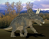 Nedoceratops dinosaur,illustration
