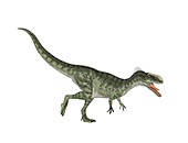 Monolophosaurus dinosaur,illustration