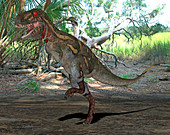 Nanotyrannus dinosaur,illustration