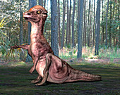Pachysaurus dinosaur,illustration