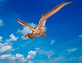 Quetzalcoatlus pterosaur,illustration