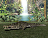 Sarcosuchus prehistoric crocodile